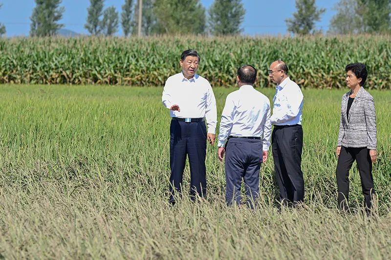 九游老哥俱乐部登录·(中国)官方网站